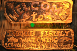 Firefly Watching